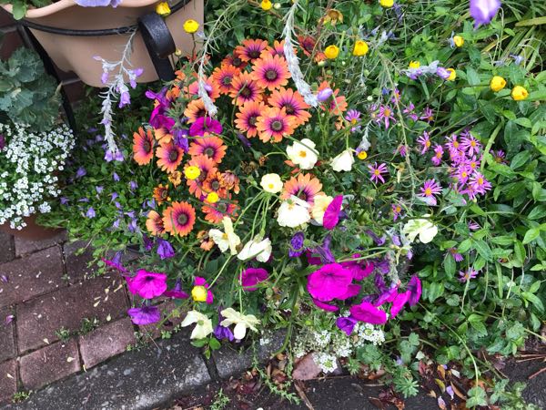 rblog-20190426181100-02.jpg