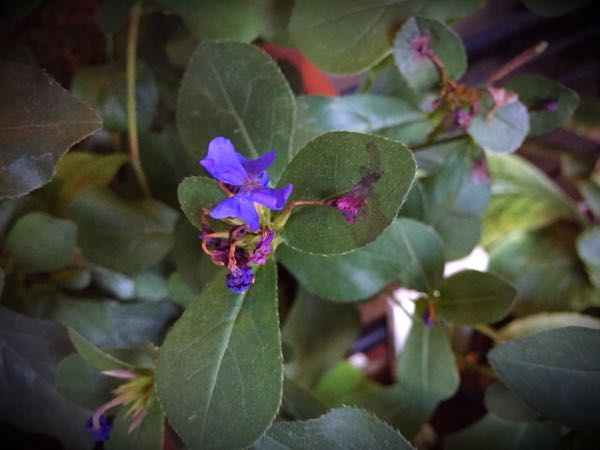 rblog-20160710210801-02.jpg