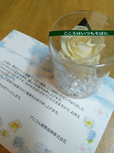 rblog-20171018003246-01.jpg