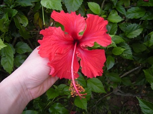 DSCN1561.JPG