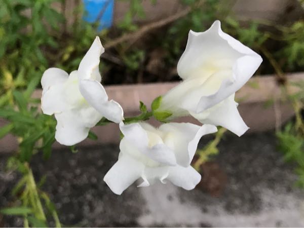 rblog-20181108170243-09.jpg