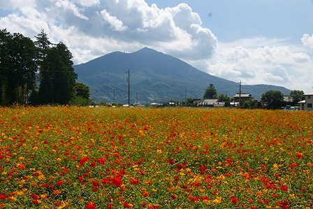 DSC02793.jpg