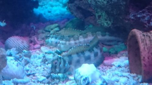 rblog-20170423172329-01.jpg