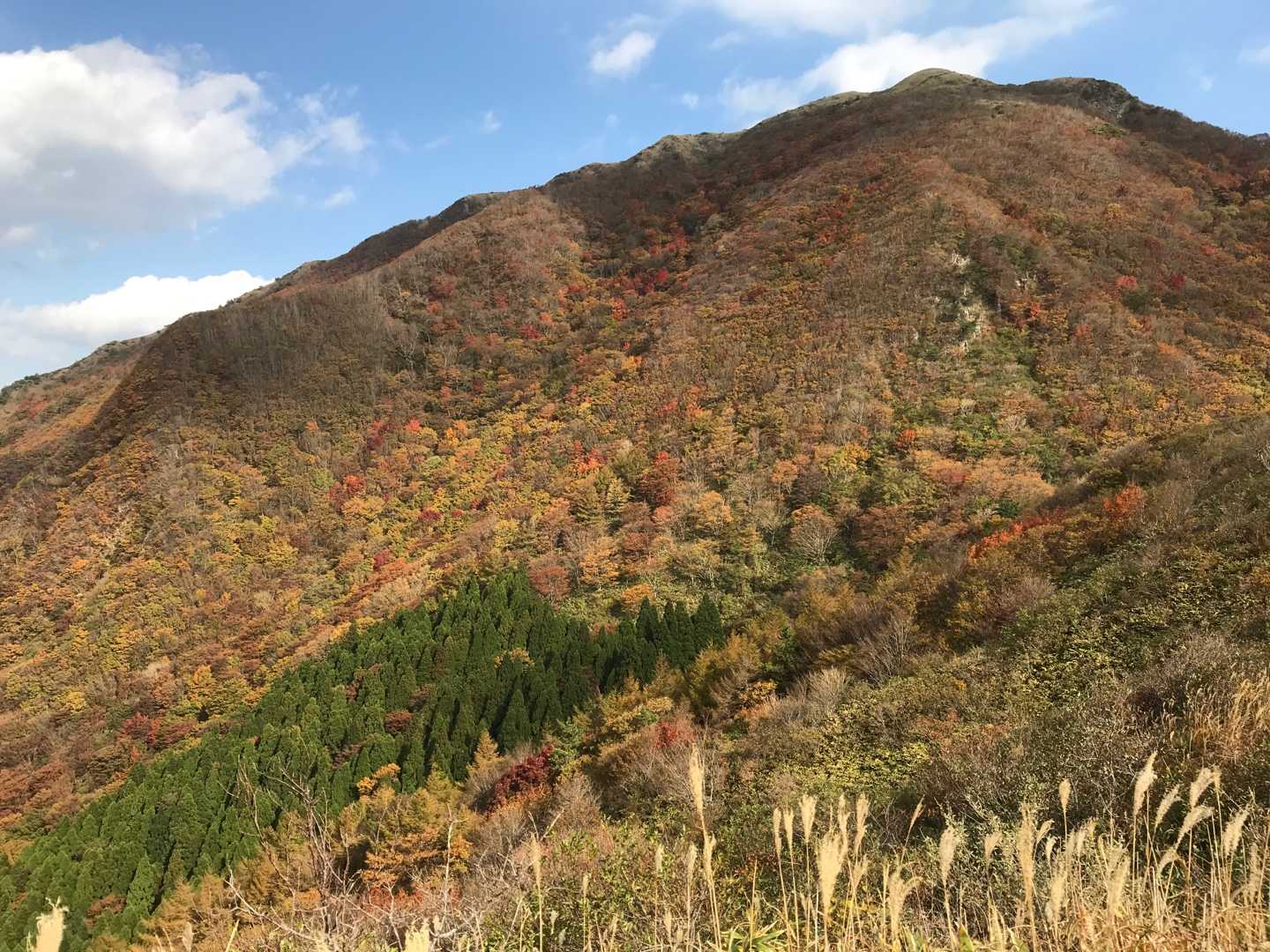 三瓶山 登山 | のん木ぶろぐ - 楽天ブログ