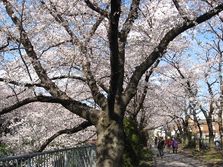 goyousui_04