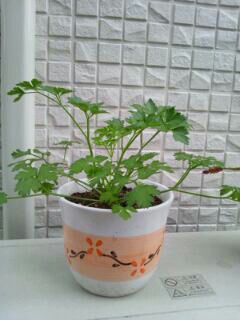 rblog-20140320090525-02.jpg