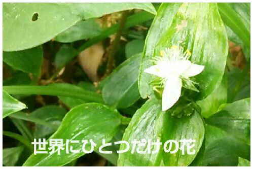rblog-20160508105051-00.jpg