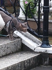 DSC_7086-20.jpg