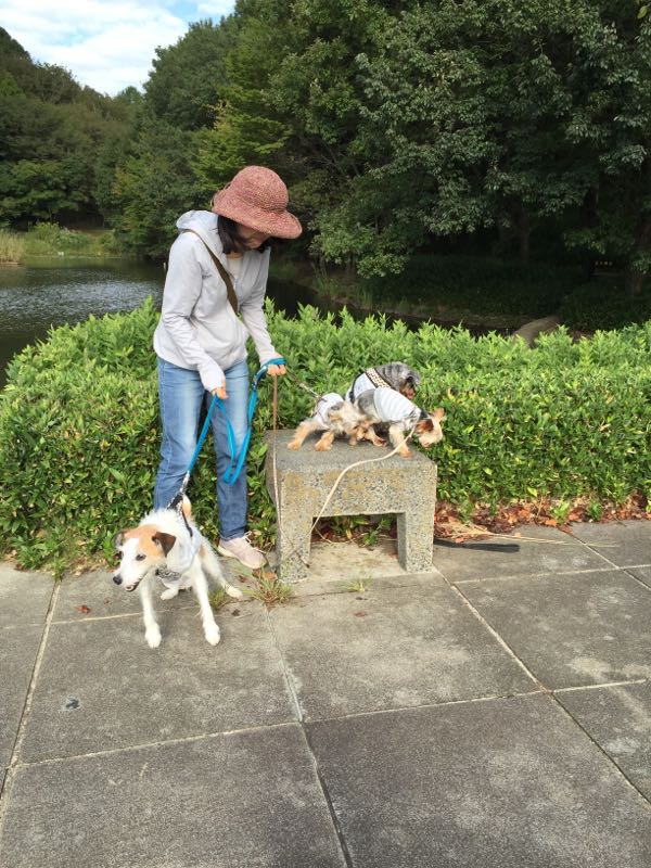 rblog-20161008015750-04.jpg