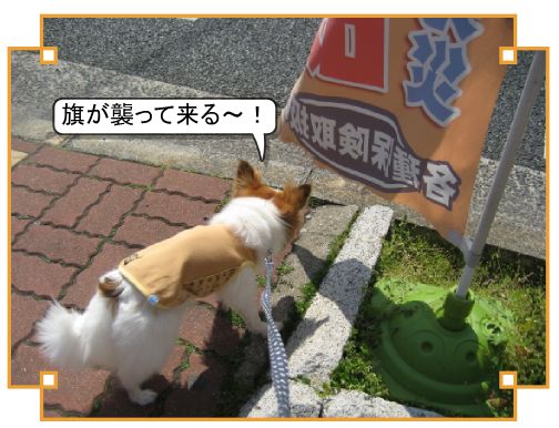 20130413p3