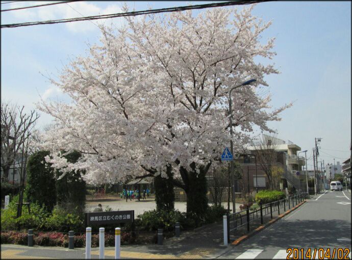 rblog-20140402153504-01.jpg