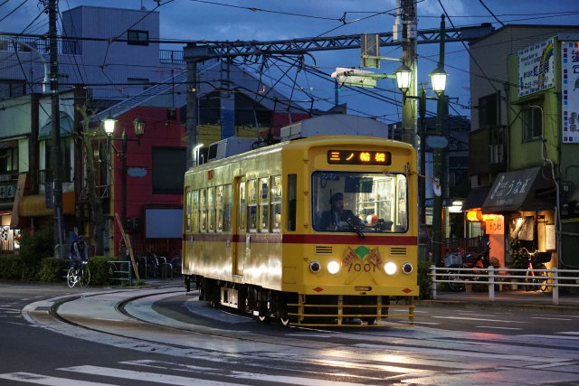 夕暮れの都電 飛鳥山7000形&レトロ9000形6