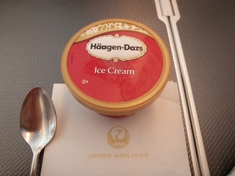 １／５　機内食　間食　ｱｲｽｸﾘｰﾑ　5