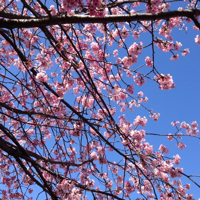 rblog-20130321001229-01.jpg
