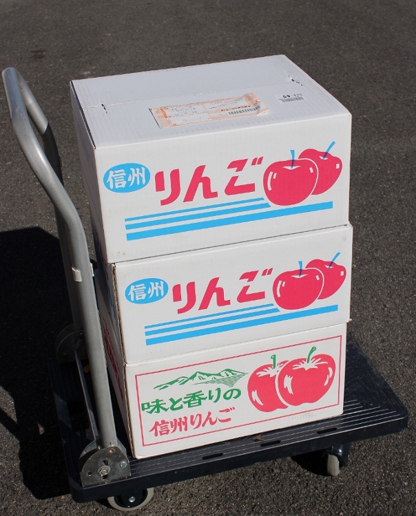 りんご.jpg