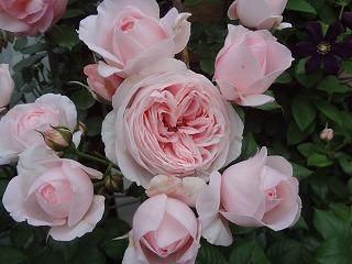 DSC01284.jpg