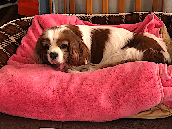 rblog-20180125211837-01.jpg