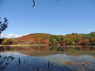 DSCN0900s-2.jpg