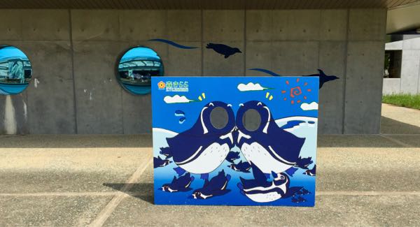 rblog-20170826194501-05.jpg