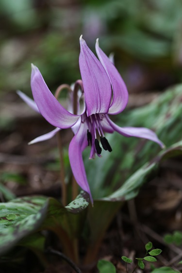 049.JPG