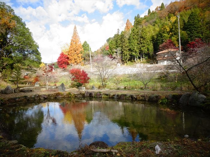 82ページ目の記事一覧 JINさんの陽蜂農遠日記 - 楽天ブログ