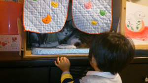 rblog-20131022160137-02.png