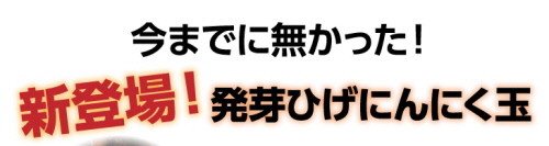 ひげにんにく(1).jpg