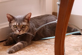 IMG_2983-11.jpg