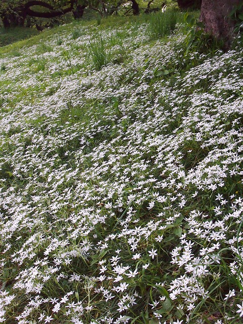 s-p1609.jpg