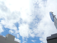 P1170328