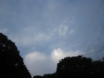 IMG_8833.JPG