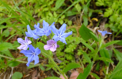 DSCF5428.jpg
