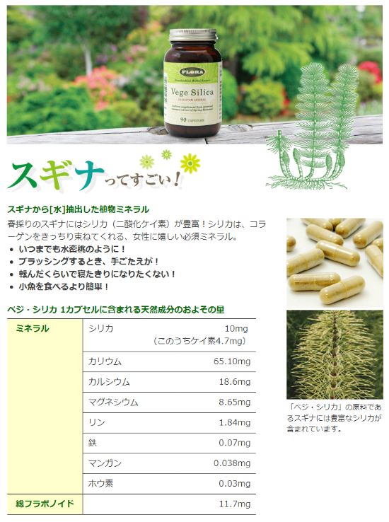 シリカ（二酸化ケイ素）を豊富に含むスギナのサプリメントのベジ シリカ（Vege Silica）