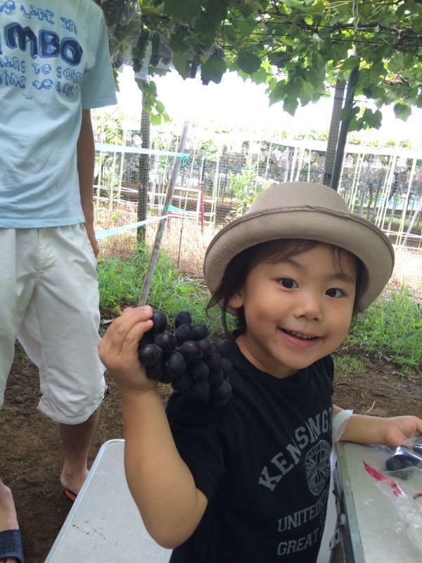 rblog-20150817004651-03.jpg