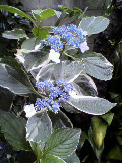 2012-06-21 13:51:26