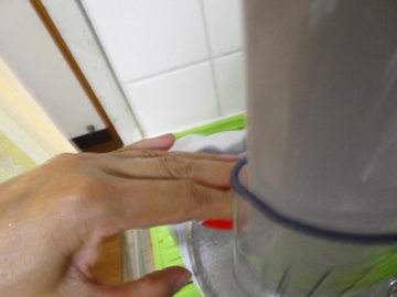 P1010020.JPG