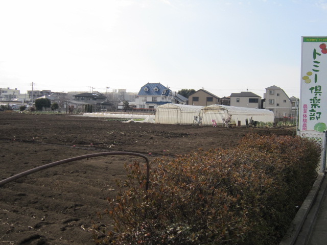20120205トミー農園.jpg
