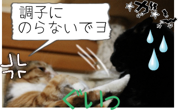 IMG_1512.png