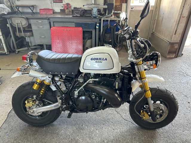 変態 ゴリラ Modoky 2st 250」 №10 プロトタイプ（？）完成