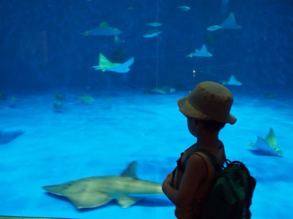 rblog-20140726112421-01.jpg