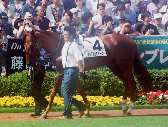 アグネスフライト単勝馬券 Yahoo!オークション -「アグネスフライト