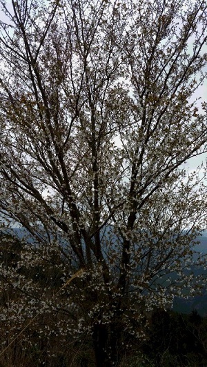 20160319_143146.jpg