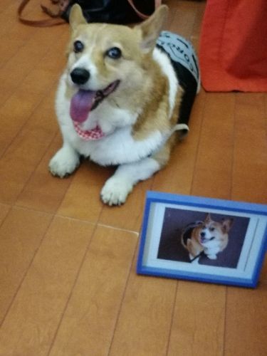 rblog-20181118220837-02.jpg
