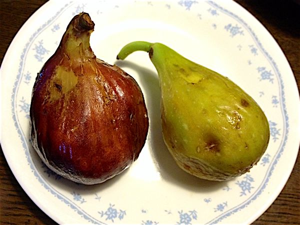 rblog-20140829212103-00.jpg