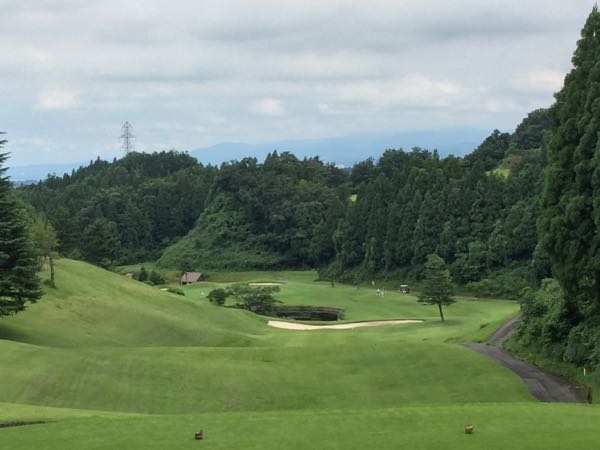 rblog-20170817155124-03.jpg