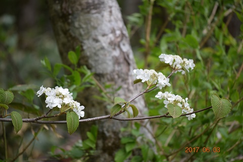DSC_0039.jpg