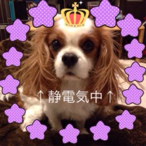 rblog-20150208111753-00.jpg