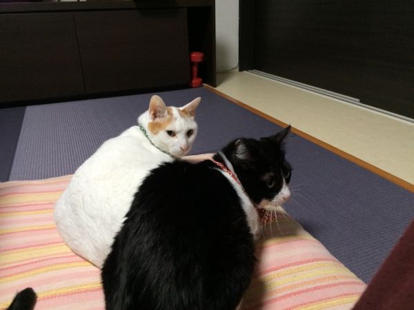 rblog-20150613060445-02.jpg