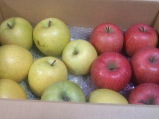 20121213150452.jpg