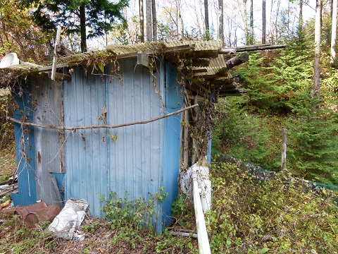 P1120493.JPG